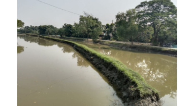 বাংলাদেশে নদী দখল করে প্রভাবশালীদের মাছ চাষ