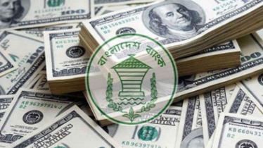 ২৩ দিনে ১৭৯ কোটি ৬০ লাখ ডলার পাঠালেন প্রবাসীরা