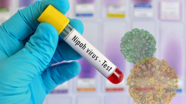 বাংলাদেশে নিপাহ ভাইরাসে মৃত্যুর খবর নিশ্চিত করল ডব্লিউএইচও